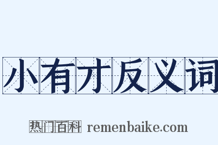 小有才反义词是什么意思的图片